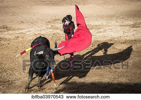 "Bullfighter after a """"Veronica"""" in the arena, bullfighting, El Barco de Avila, Avila, Spain, Europe" View Large Photo Image Stock Image - "Bullfighter after a """"Veronica"""" in the arena, bullfighting, El Barco de Avila, Avila, Spain, Europe". Fotosearch