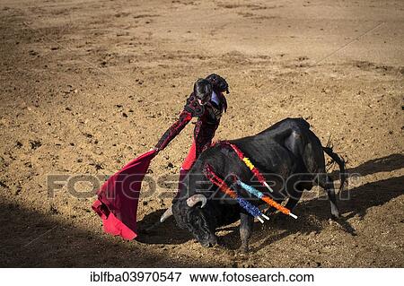 "Bullfighter, bullfighting, El Barco de Avila, Avila, Spain, Europe" View Large Photo Image Stock Photo - "Bullfighter, bullfighting, El Barco de Avila, Avila, Spain, Europe". Fotosearch
