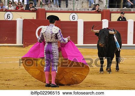 "Bullfighting, Matador with cape, fighting bull impaled with banderillas in bullring, 'Tercio de banderillas' stage of bullfight, Spain, Europe" View Large Photo Image Stock Photography - "Bullfighting, Matador with cape, fighting bull impaled with banderillas in bullring, 'Tercio de banderillas' stage of bullfight, Spain, Europe". Fotosearch