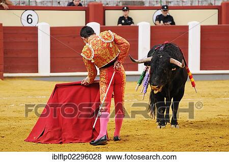 "Bullfighting, Matador with muleta and sword, fighting bull impaled with banderillas in bullring, 'Tercio de muerte' stage of bullfight, Spain, Europe" View Large Photo Image Stock Photo - "Bullfighting, Matador with muleta and sword, fighting bull impaled with banderillas in bullring, 'Tercio de muerte' stage of bullfight, Spain, Europe". Fotosearch