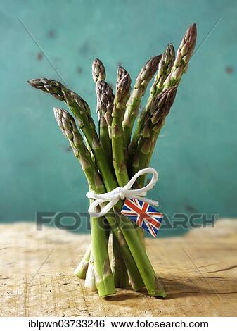 Bunch of English asparagus spears View Large Photo Image Stock Photograph - Bunch of English asparagus spears. Fotosearch