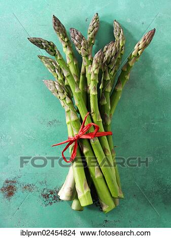 Picture - Bunch of fresh English asparagus spears. Fotosearch
