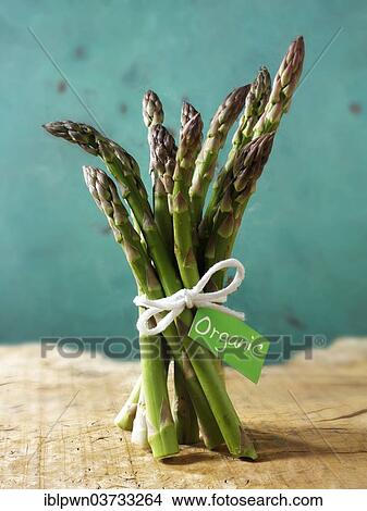 Bunch of organic asparagus spears View Large Photo Image Picture - Bunch of organic asparagus spears. Fotosearch