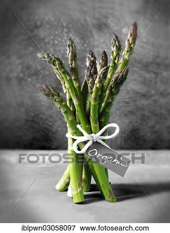 Bunch of organic asparagus spears View Large Photo Image Stock Photo - Bunch of organic asparagus spears. Fotosearch