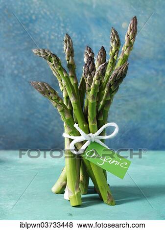 Bunch of organic asparagus spears View Large Photo Image Stock Photo - Bunch of organic asparagus spears. Fotosearch