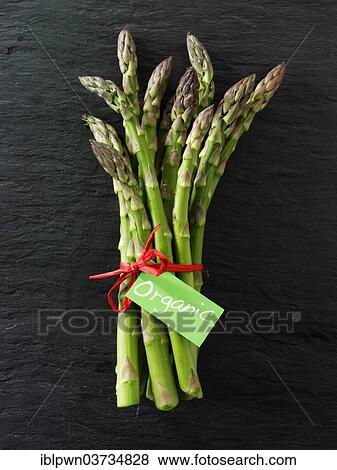 Bunch of organic asparagus spears View Large Photo Image Stock Photo - Bunch of organic asparagus spears. Fotosearch