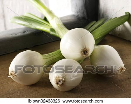 Bunch of spring onions View Large Photo Image Stock Photograph - Bunch of spring onions. Fotosearch