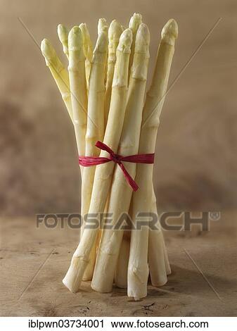 Bunch of white asparagus spears View Large Photo Image Stock Image - Bunch of white asparagus spears. Fotosearch