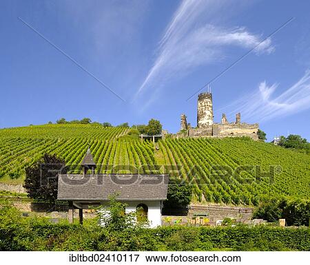 "Burg Fuerstenberg Castle, UNESCO World Cultural Heritage Site, Upper Middle Rhine Valley, Rhineland-Palatinate, Germany, Europe" View Large Photo Image Stock Photo - "Burg Fuerstenberg Castle, UNESCO World Cultural Heritage Site, Upper Middle Rhine Valley, Rhineland-Palatinate, Germany, Europe". Fotosearch