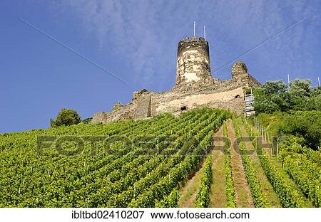 "Burg Fuerstenberg Castle, UNESCO World Cultural Heritage Site, Upper Middle Rhine Valley, Rhineland-Palatinate, Germany, Europe" View Large Photo Image Stock Photo - "Burg Fuerstenberg Castle, UNESCO World Cultural Heritage Site, Upper Middle Rhine Valley, Rhineland-Palatinate, Germany, Europe". Fotosearch