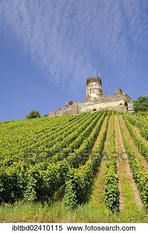 "Burg Fuerstenberg Castle, UNESCO World Cultural Heritage Site, Upper Middle Rhine Valley, Rhineland-Palatinate, Germany, Europe" View Large Photo Image Stock Photography - "Burg Fuerstenberg Castle, UNESCO World Cultural Heritage Site, Upper Middle Rhine Valley, Rhineland-Palatinate, Germany, Europe". Fotosearch