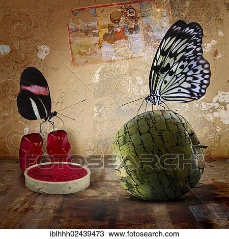 "Butterflies, composite image" View Large Photo Image Stock Image - "Butterflies, composite image". Fotosearch