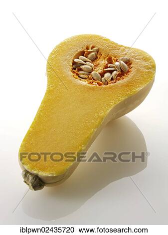 Butternut squash cut in half View Large Photo Image Stock Image - Butternut squash cut in half. Fotosearch