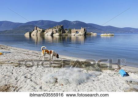 "Byzantine fortress on an island in Lake Bafa, dog and a fishing net on the shore, Lake Bafa, Mugla Province, Aegean region, Turkey, Asia" View Large Photo Image Stock Photograph - "Byzantine fortress on an island in Lake Bafa, dog and a fishing net on the shore, Lake Bafa, Mugla Province, Aegean region, Turkey, Asia". Fotosearch