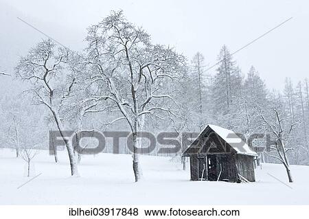 "Cabin in the snow, Almtal valley, Austria, Europe" View Large Photo Image Stock Photo - "Cabin in the snow, Almtal valley, Austria, Europe". Fotosearch