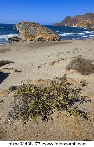 "Cabo de Gata, Monsul Beach, Biosphere Reserve, Cabo de Gata-Nijar Natural Park, Almeria, Andalusia, Spain, Europe" View Large Photo Image Stock Photo - "Cabo de Gata, Monsul Beach, Biosphere Reserve, Cabo de Gata-Nijar Natural Park, Almeria, Andalusia, Spain, Europe". Fotosearch