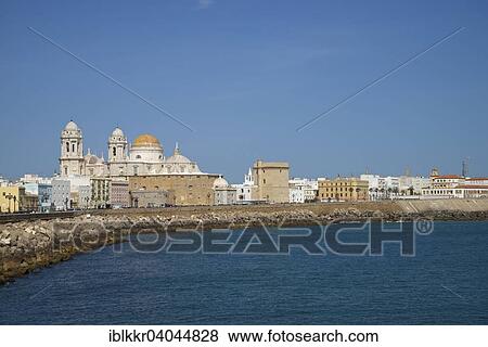 "Cadiz Cathedral, also New Cathedral, Cadiz, Costa de la Luz, Andalusia, Spain, Europe" View Large Photo Image Stock Photo - "Cadiz Cathedral, also New Cathedral, Cadiz, Costa de la Luz, Andalusia, Spain, Europe". Fotosearch