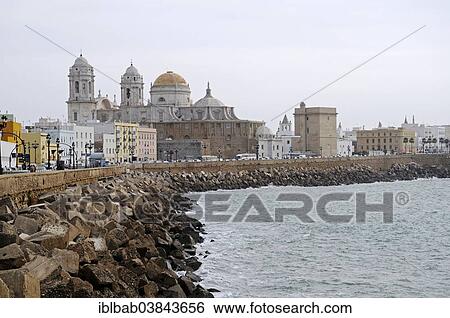 "Cadiz Cathedral, waterside promenade, Cadiz, Cadiz province, Costa de la Luz, Andalusia, Spain, Europe" View Large Photo Image Stock Photograph - "Cadiz Cathedral, waterside promenade, Cadiz, Cadiz province, Costa de la Luz, Andalusia, Spain, Europe". Fotosearch