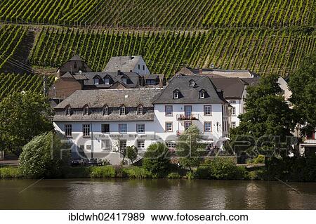 Cafe and country inn, Alt Piesport, surrounded by vineyards, Piesport, Moselle, Rhineland-Palatinate, Germany, Europe, PublicGround, Europe View Large Photo Image Stock Photo - Cafe and country inn, Alt Piesport, surrounded by vineyards, Piesport, Moselle, Rhineland-Palatinate, Germany, Europe, PublicGround, Europe. Fotosearch
