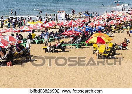 "Calangute Beach, Calangute, Goa, India, Asia" View Large Photo Image Stock Image - "Calangute Beach, Calangute, Goa, India, Asia". Fotosearch