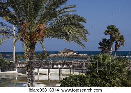 Picture - "Caleta de Fuste beach promenade, Fuerteventura, Canary Islands, Spain, Europe". Fotosearch