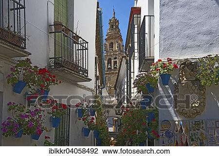 Stock Image - "Calle de las Flores with flowers, Cordoba province, Andalucia, Spain, Europe". Fotosearch