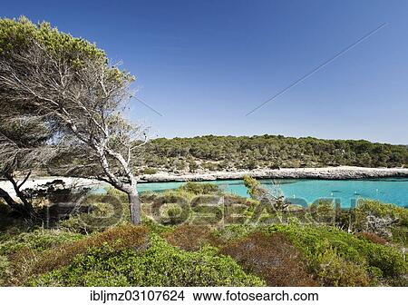 "Calo d'en Garrot bay, Parc Natural de Mondrago, Mallorca, Majorca, Balearic Islands, Spain, Europe" View Large Photo Image Picture - "Calo d'en Garrot bay, Parc Natural de Mondrago, Mallorca, Majorca, Balearic Islands, Spain, Europe". Fotosearch