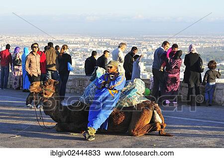 "Camel driver waits for tourists at the ancient fortress of Agadir, Morocco, Africa" View Large Photo Image Stock Image - "Camel driver waits for tourists at the ancient fortress of Agadir, Morocco, Africa". Fotosearch