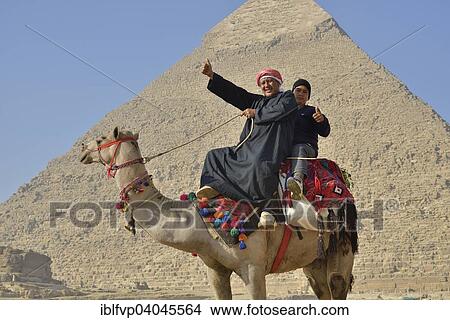 "Camel owners on a camel in front of the Pyramid of Chephren, Giza, Egypt, Africa" View Large Photo Image Picture - "Camel owners on a camel in front of the Pyramid of Chephren, Giza, Egypt, Africa". Fotosearch
