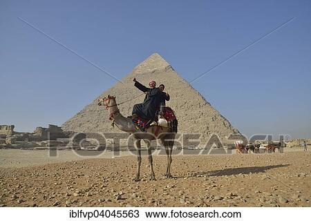 "Camel owners on a camel in front of the Pyramid of Chephren, Giza, Egypt, Africa" View Large Photo Image Stock Image - "Camel owners on a camel in front of the Pyramid of Chephren, Giza, Egypt, Africa". Fotosearch