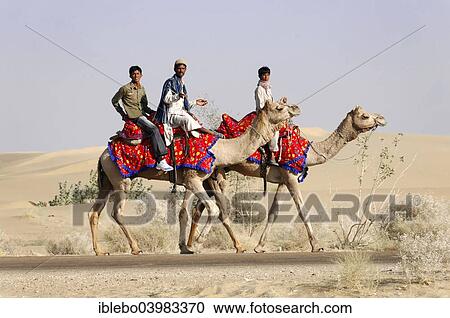 "Camel riders travelling in the Thar Desert, Sam, near Jaisalmer, Rajasthan, India, Asia" View Large Photo Image Stock Image - "Camel riders travelling in the Thar Desert, Sam, near Jaisalmer, Rajasthan, India, Asia". Fotosearch