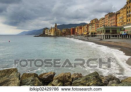 "Camogli seaside, Riviera di Levante, Liguria, Italy, Europe, Camogli, Italian Riviera, Liguria, Italy, Europe" View Large Photo Image Stock Photograph - "Camogli seaside, Riviera di Levante, Liguria, Italy, Europe, Camogli, Italian Riviera, Liguria, Italy, Europe". Fotosearch