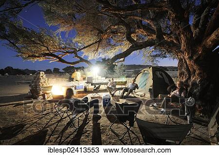 Stock Image - Camping under an Acacia tree, grassy landscape, Sesriem, Tsauchab-Tal, Namib-Naukluft-Park, Namib-Wuste, Namibia, Africa. Fotosearch