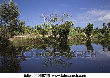 "Canal des Pangalanes, East Coast, Madagascar, Africa" View Large Photo Image Stock Photography - "Canal des Pangalanes, East Coast, Madagascar, Africa". Fotosearch