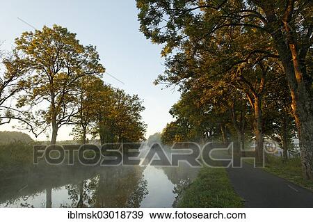 "Canal des Vosges, formerly the Canal de l'Est, at PK 88, summit level of the canal, morning mood with morning fog, Les Forges, Epinal, Lorraine, Departement Vosges, France, Europe" View Large Photo Image Stock Photo - "Canal des Vosges, formerly the Canal de l'Est, at PK 88, summit level of the canal, morning mood with morning fog, Les Forges, Epinal, Lorraine, Departement Vosges, France, Europe". Fotosearch