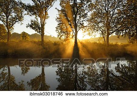 "Canal des Vosges, formerly the Canal de l'Est, at PK 88, summit level of the canal, morning mood with morning fog, Les Forges, Epinal, Lorraine, Departement Vosges, France, Europe" View Large Photo Image Stock Photograph - "Canal des Vosges, formerly the Canal de l'Est, at PK 88, summit level of the canal, morning mood with morning fog, Les Forges, Epinal, Lorraine, Departement Vosges, France, Europe". Fotosearch