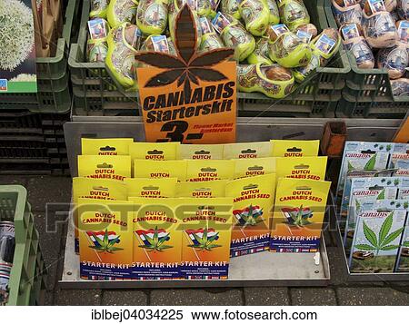 "Cannabis seeds on sale, Bloemenmarkt, Amsterdam, Province of North Holland, Holland, The Netherlands, Europe" View Large Photo Image Stock Photography - "Cannabis seeds on sale, Bloemenmarkt, Amsterdam, Province of North Holland, Holland, The Netherlands, Europe". Fotosearch