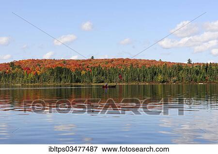 "Canoe Lake with canoeists and a forest in autumn colours, Algonquin Provincial Park, Ontario Province, Canada, North America" View Large Photo Image Stock Photo - "Canoe Lake with canoeists and a forest in autumn colours, Algonquin Provincial Park, Ontario Province, Canada, North America". Fotosearch