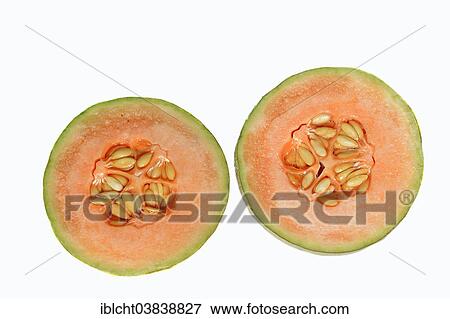 "Cantaloupe or Honeydew Melon (Cucumis melo), halved fruit" View Large Photo Image Stock Photo - "Cantaloupe or Honeydew Melon (Cucumis melo), halved fruit". Fotosearch