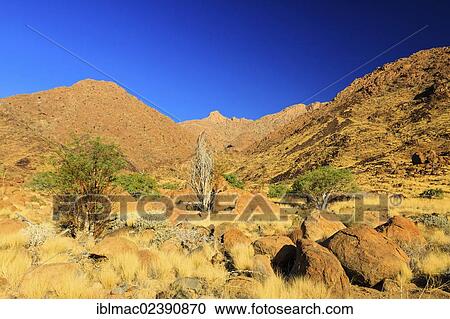 "Canyon near Brandberg mountain, Damaraland, Namibia, Africa" View Large Photo Image Stock Image - "Canyon near Brandberg mountain, Damaraland, Namibia, Africa". Fotosearch