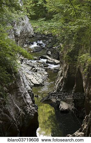 "Canyon, Skocjan Caves regional park, Divaca, Coastal–Karst Statistical Region, Slovenia, Europe" View Large Photo Image Stock Photo - "Canyon, Skocjan Caves regional park, Divaca, Coastal–Karst Statistical Region, Slovenia, Europe". Fotosearch
