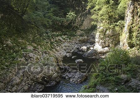 "Canyon, Skocjan Caves regional park, Divaca, Coastal–Karst Statistical Region, Slovenia, Europe" View Large Photo Image Stock Photography - "Canyon, Skocjan Caves regional park, Divaca, Coastal–Karst Statistical Region, Slovenia, Europe". Fotosearch