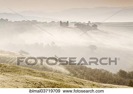 "Cappella di Vitaleta in the morning mist, Val d'Orcia region, Province of Siena, Tuscany, Italy, Europe" View Large Photo Image Stock Photo - "Cappella di Vitaleta in the morning mist, Val d'Orcia region, Province of Siena, Tuscany, Italy, Europe". Fotosearch