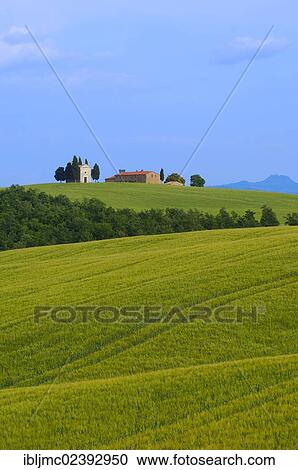 "Cappella di Vitaleta. Vitaleta Chapel, Pienza, Val d'Orcia, Orcia Valley, UNESCO World Heritage Site, Siena Province, Tuscany, Italy, Europe" View Large Photo Image Stock Image - "Cappella di Vitaleta. Vitaleta Chapel, Pienza, Val d'Orcia, Orcia Valley, UNESCO World Heritage Site, Siena Province, Tuscany, Italy, Europe". Fotosearch