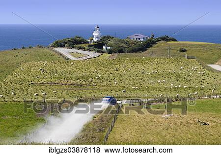 "Car driving along a gravel road towards Katiki Point Lighthouse, Moeraki, South Island, New Zealand, Oceania" View Large Photo Image Stock Photo - "Car driving along a gravel road towards Katiki Point Lighthouse, Moeraki, South Island, New Zealand, Oceania". Fotosearch