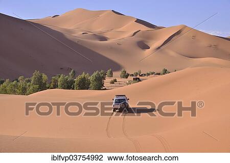 "Car driving in the dunes, Great Sand Sea, Sahara, Merzouga, Meknes-Tafilalet region, Morocco, Africa" View Large Photo Image Stock Image - "Car driving in the dunes, Great Sand Sea, Sahara, Merzouga, Meknes-Tafilalet region, Morocco, Africa". Fotosearch