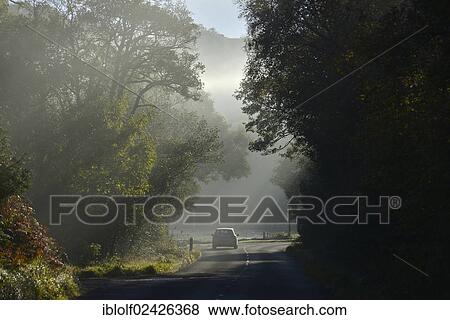 "Car driving on a light-filled autumn road in the Highlands, Gairloch, Wester Ross, Scotland, United Kingdom, Europe" View Large Photo Image Stock Photo - "Car driving on a light-filled autumn road in the Highlands, Gairloch, Wester Ross, Scotland, United Kingdom, Europe". Fotosearch