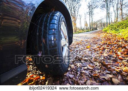 Picture - Car driving on a street covered with leaves, in autumn, dangerous driving conditions, danger of accident. Fotosearch