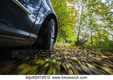 Car driving on a street covered with leaves, in autumn, dangerous driving conditions, danger of accident View Large Photo Image Stock Image - Car driving on a street covered with leaves, in autumn, dangerous driving conditions, danger of accident. Fotosearch