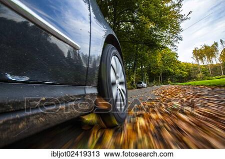 Car driving on a street covered with leaves, in autumn, dangerous driving conditions, danger of accident View Large Photo Image Stock Image - Car driving on a street covered with leaves, in autumn, dangerous driving conditions, danger of accident. Fotosearch